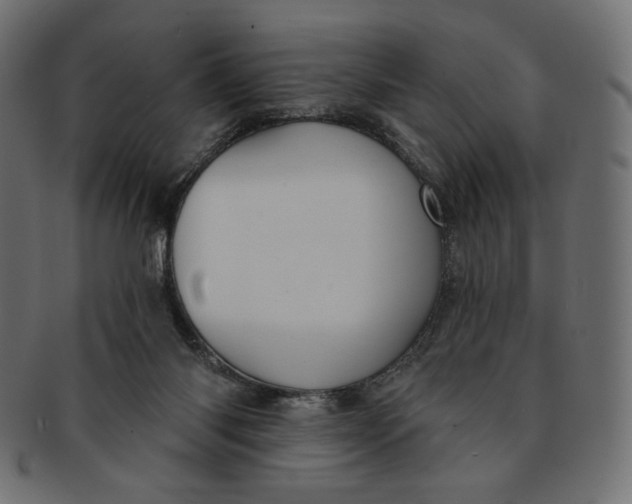 X0000091850118200709261215