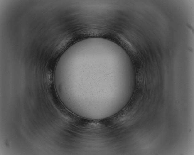 X0000091850119200709261215