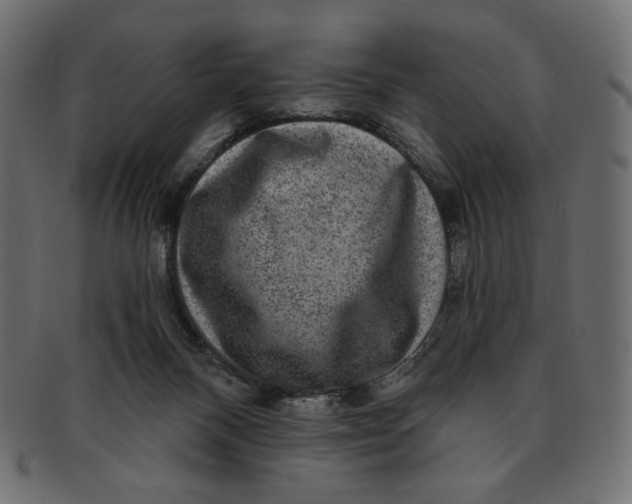 X0000091850120200709261215