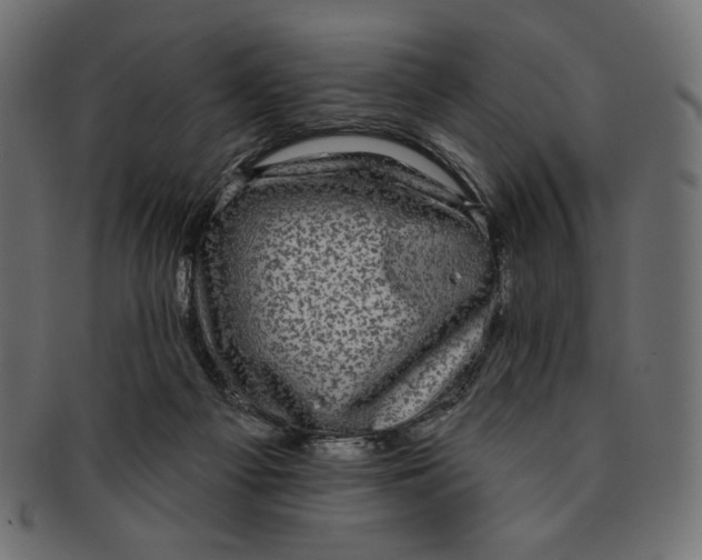 X0000091850121200709261215