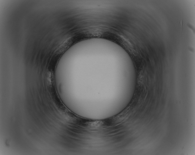 X0000091850122200709261215