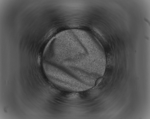 X0000091850124200709261215