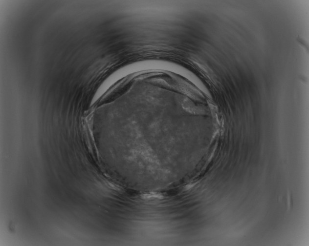 X0000091850125200709261215