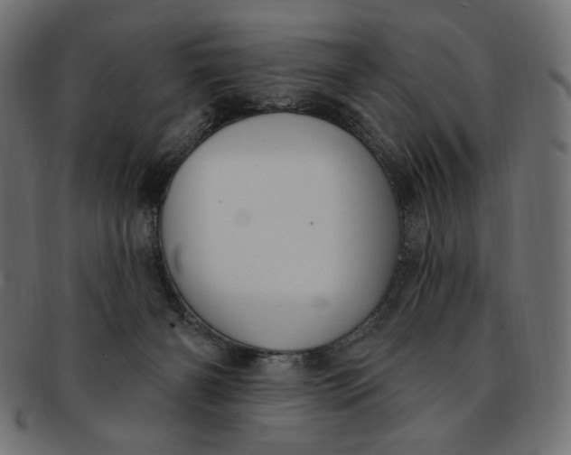 X0000091850126200709261215