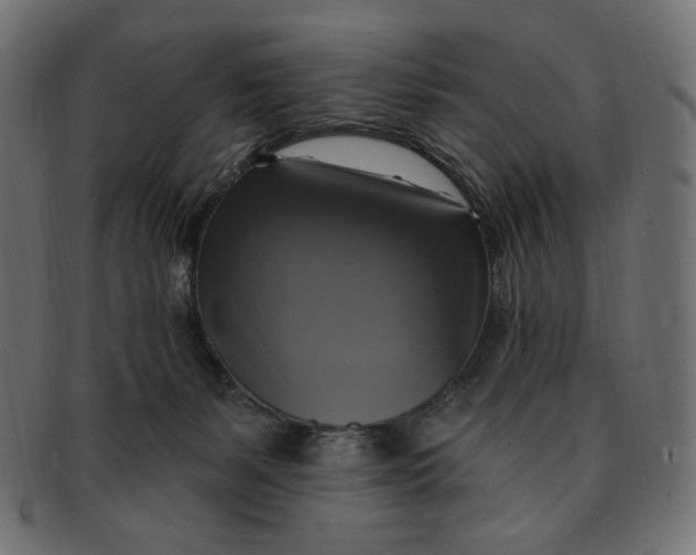 X0000091850127200709261215