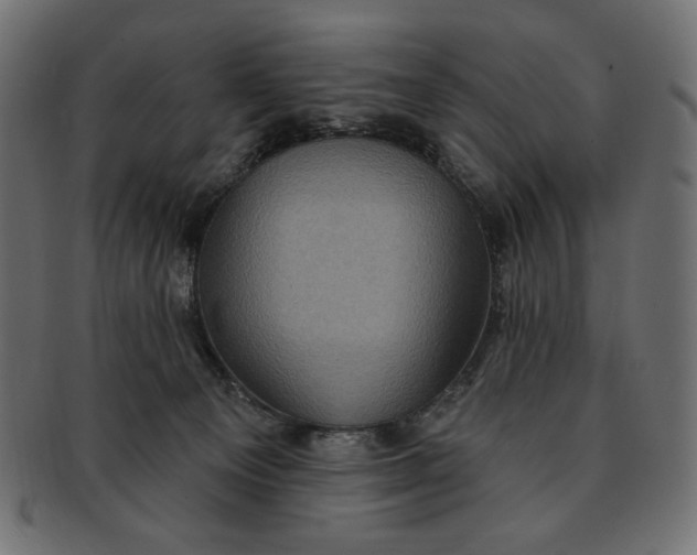 X0000091850129200709261215