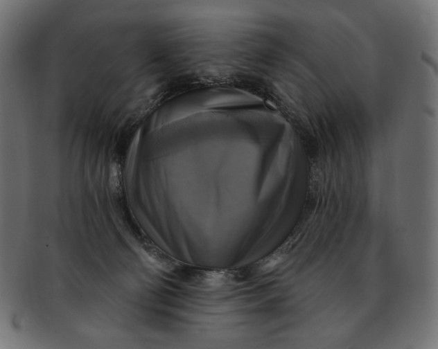 X0000091850130200709261215