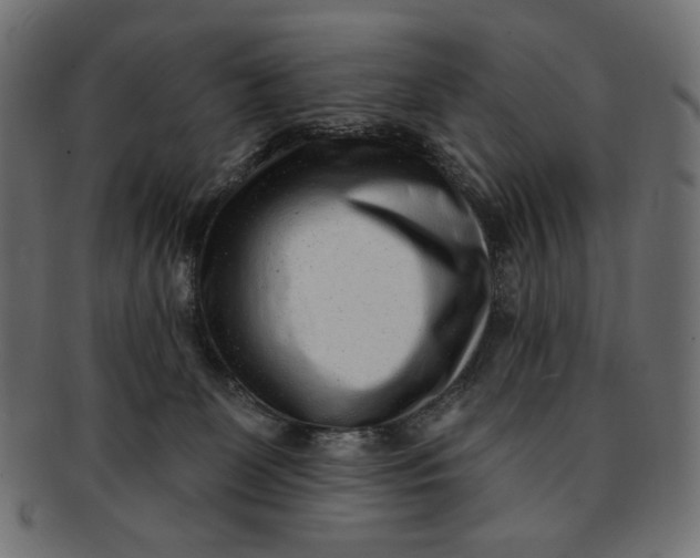 X0000091850131200709261215
