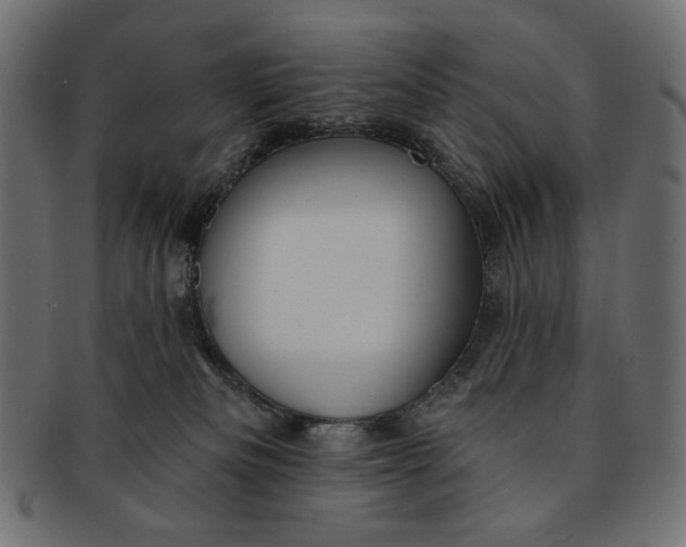 X0000091850133200709261215