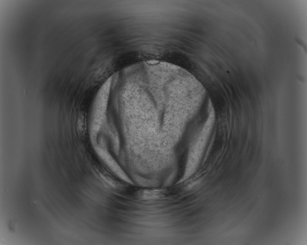 X0000091850134200709261215