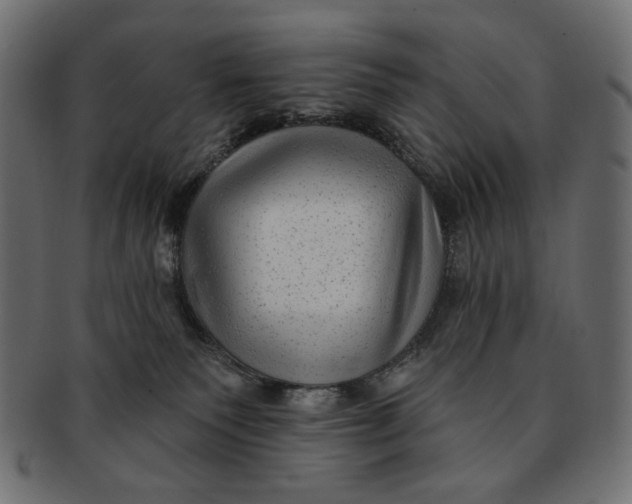 X0000091850135200709261215