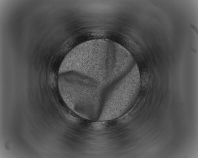 X0000091850136200709261215
