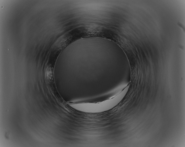X0000091850137200709261215
