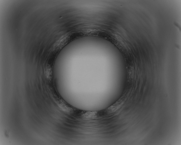 X0000091850138200709261215