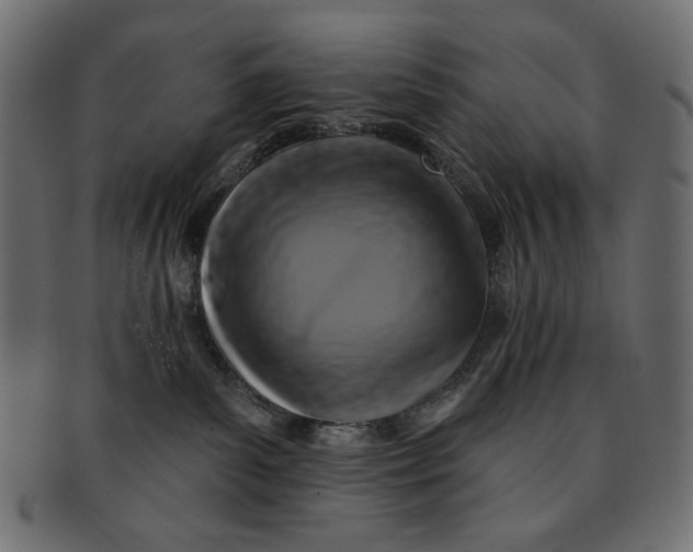 X0000091850139200709261215