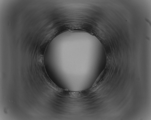 X0000091850141200709261215