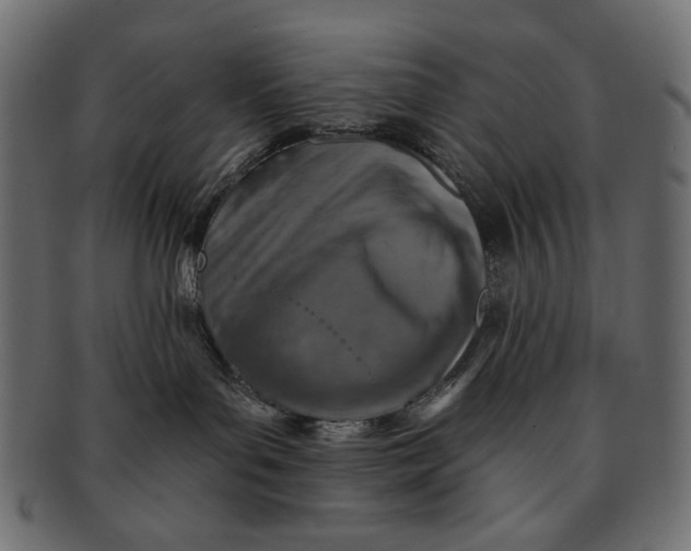 X0000091850143200709261214