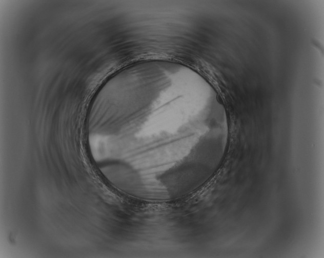 X0000091850145200709261214