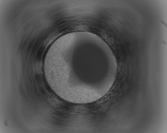 X0000091850146200709261214