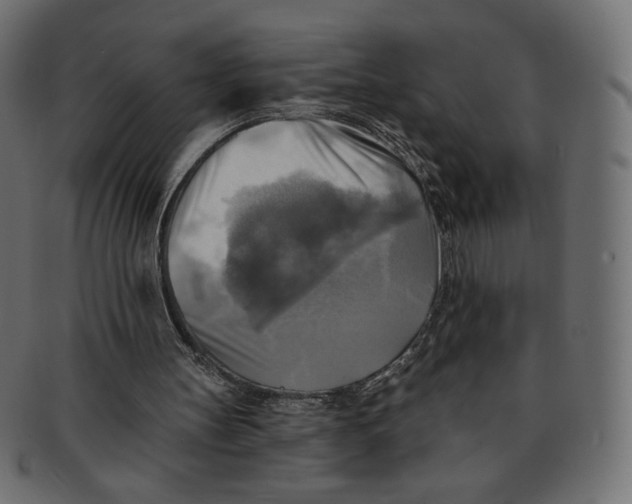 X0000091850147200709261214