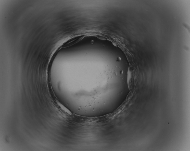 X0000091850148200709261214