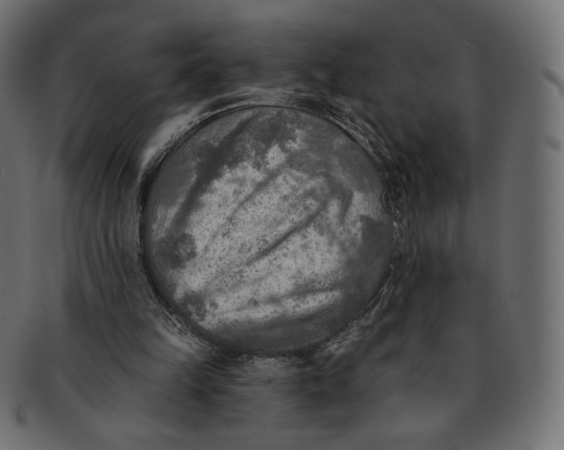 X0000091850149200709261214
