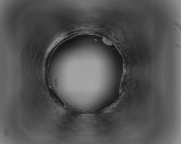 X0000091850150200709261214