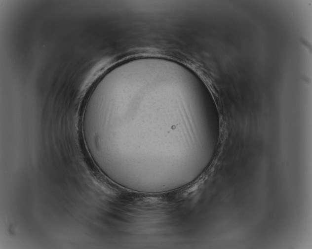 X0000091850151200709261214