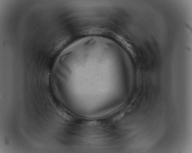 X0000091850153200709261214