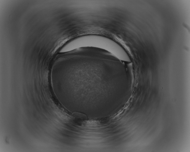 X0000091850154200709261214