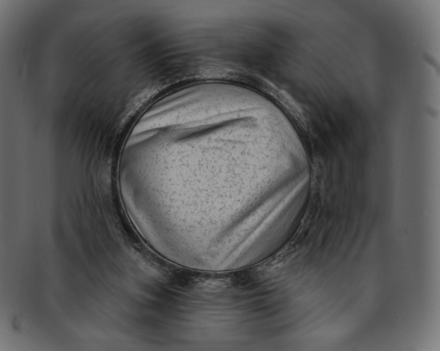 X0000091850155200709261214