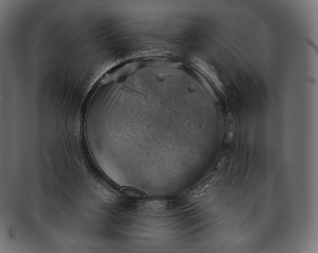 X0000091850156200709261214