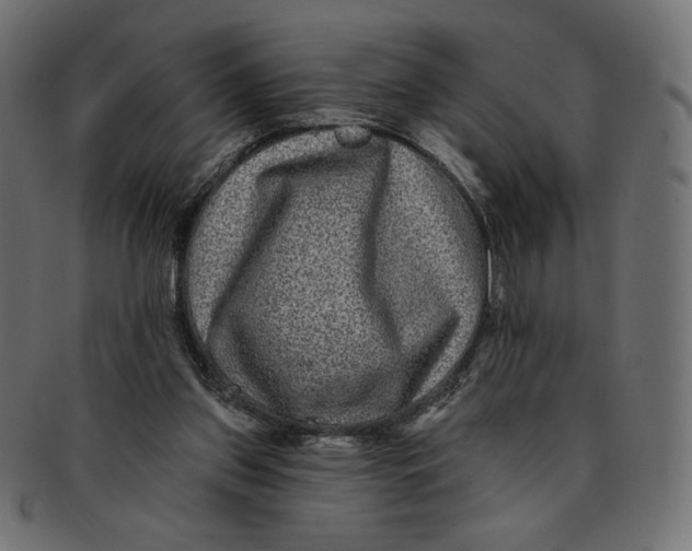 X0000091850157200709261214