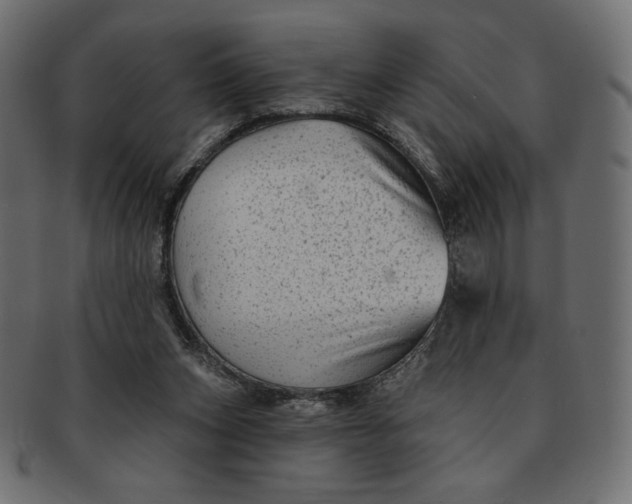 X0000091850159200709261214