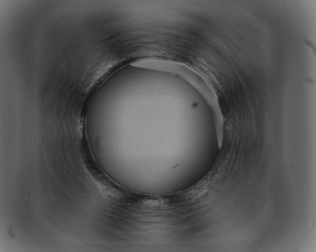 X0000091850160200709261214
