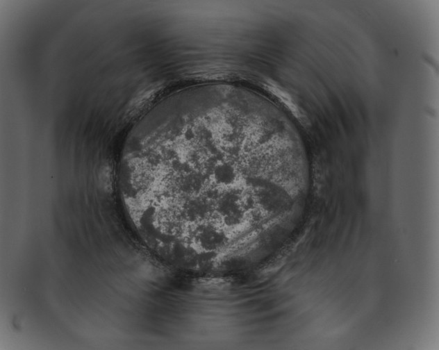 X0000091850161200709261214