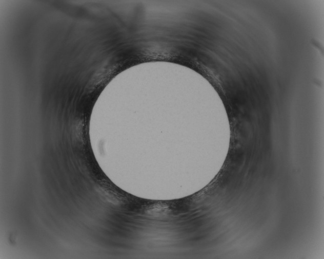 X0000091850162200709261214