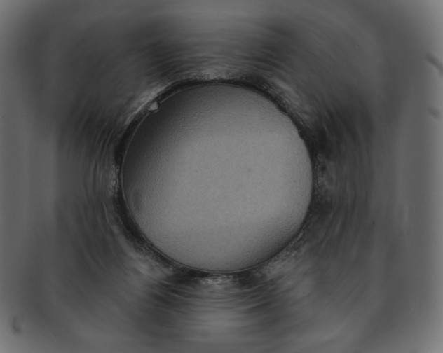 X0000091850164200709261214