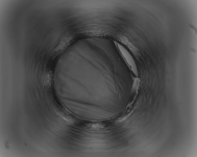 X0000091850165200709261214