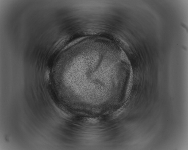 X0000091850166200709261214