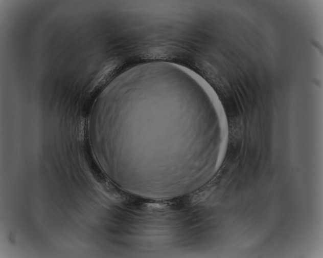 X0000091850167200709261214