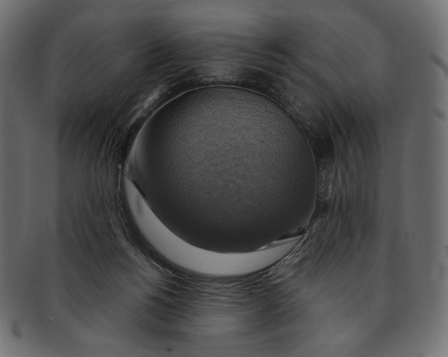 X0000091850168200709261214