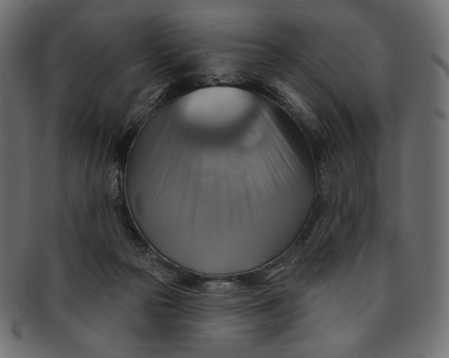X0000091850169200709261214