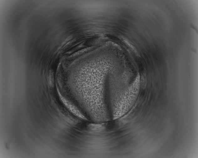 X0000091850170200709261214