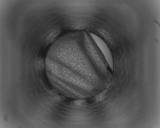 X0000091850172200709261214