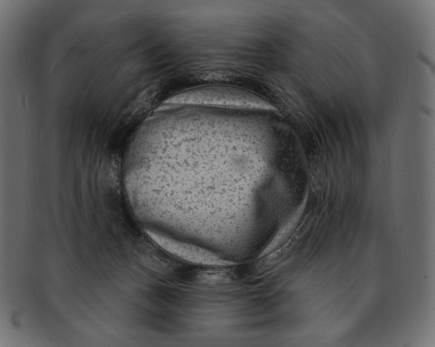 X0000091850175200709261214
