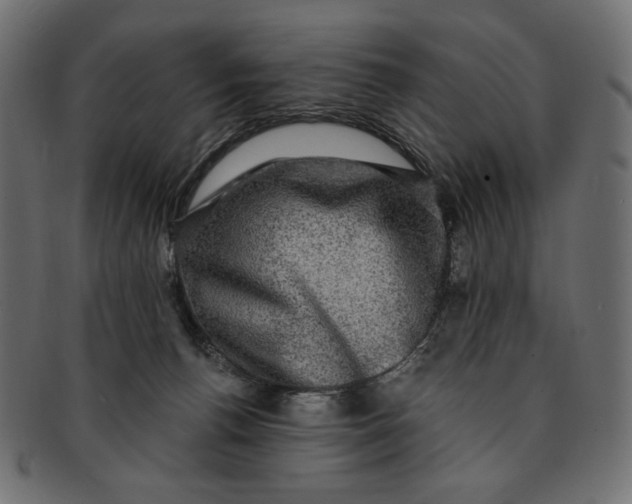 X0000091850176200709261214
