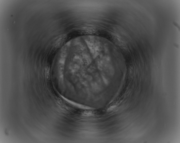 X0000091850177200709261214