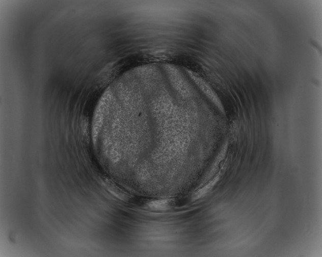 X0000091850178200709261214