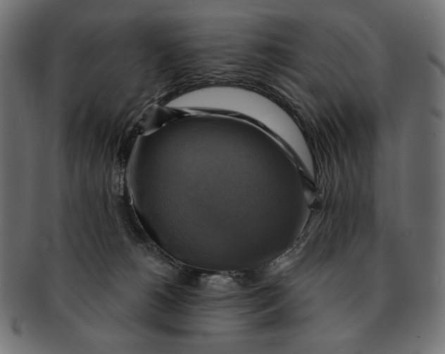 X0000091850180200709261214